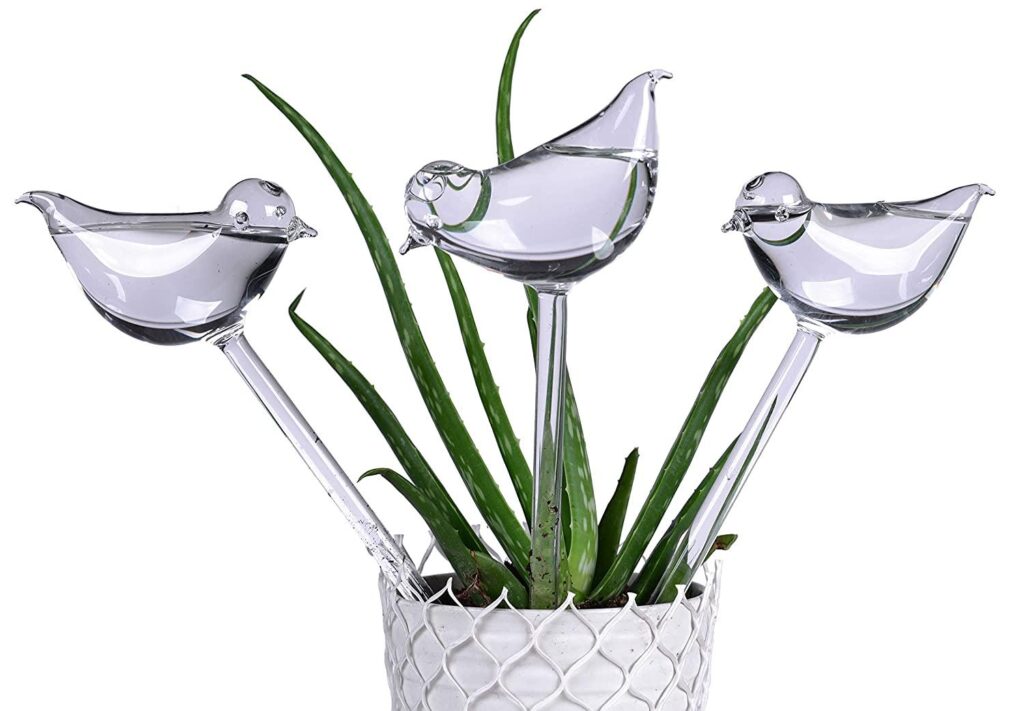 3-Pack Plant Waterer Self-Watering Globes