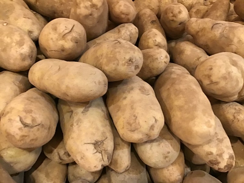 Idaho Potatoes 