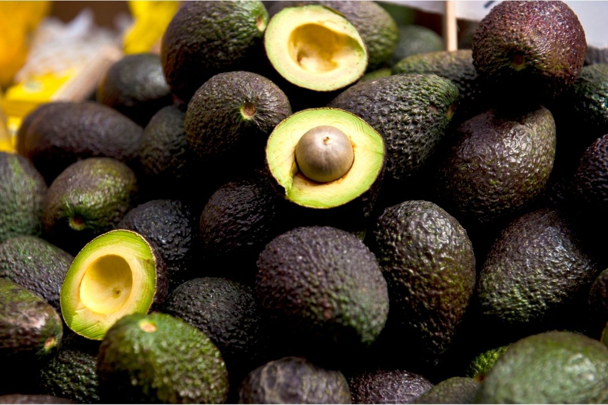 Avocados Fruits with Low Carbs