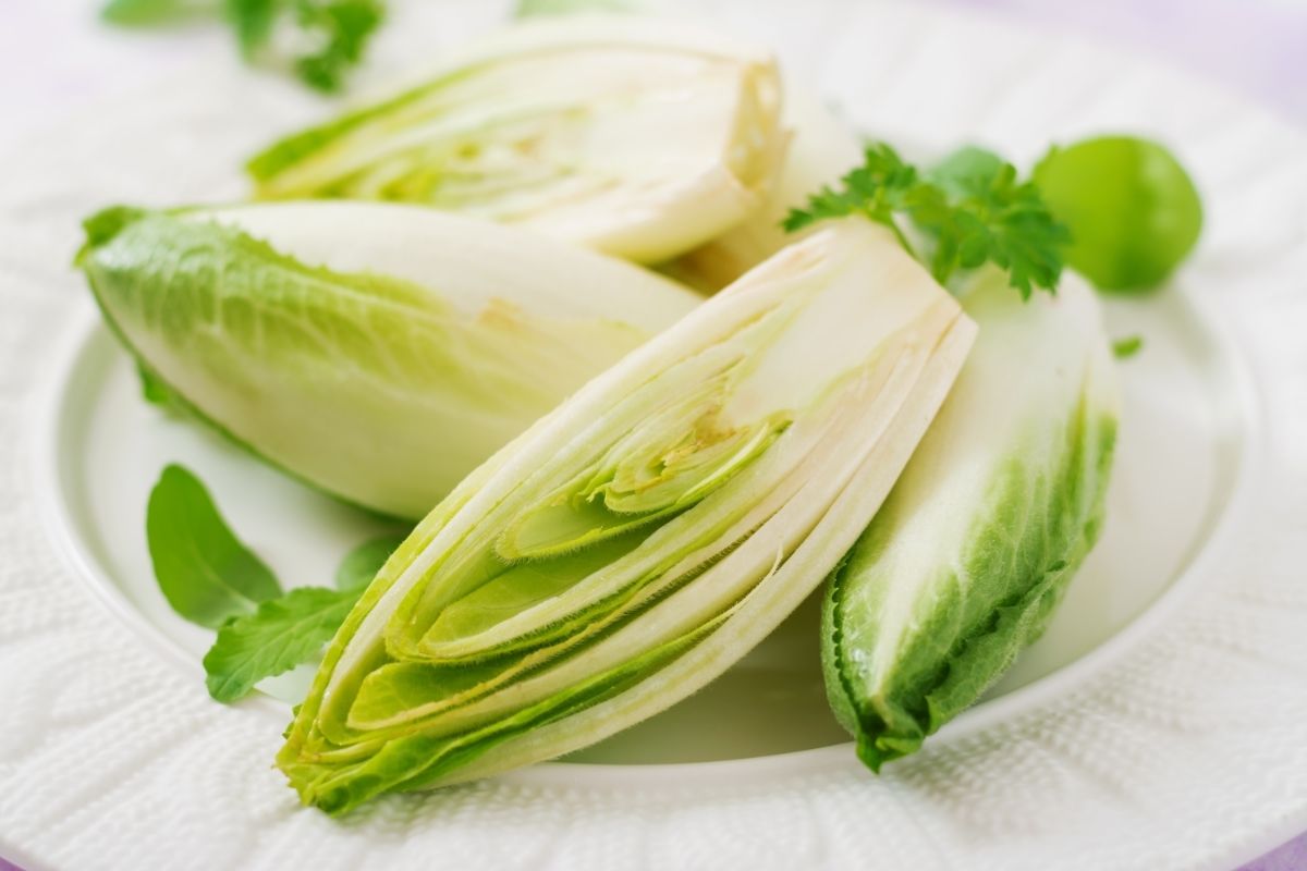 Chicory - types of Italian veggies
