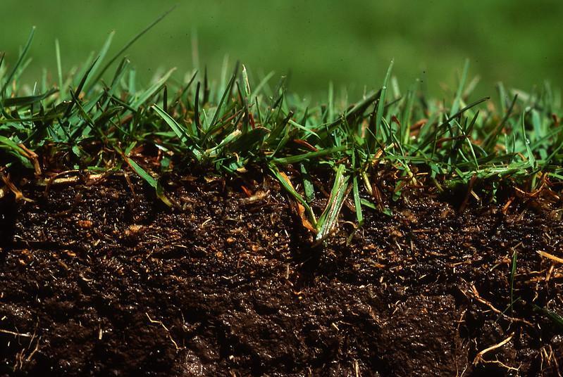 Consider The Soil Type