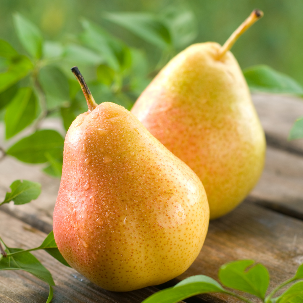  French pear
