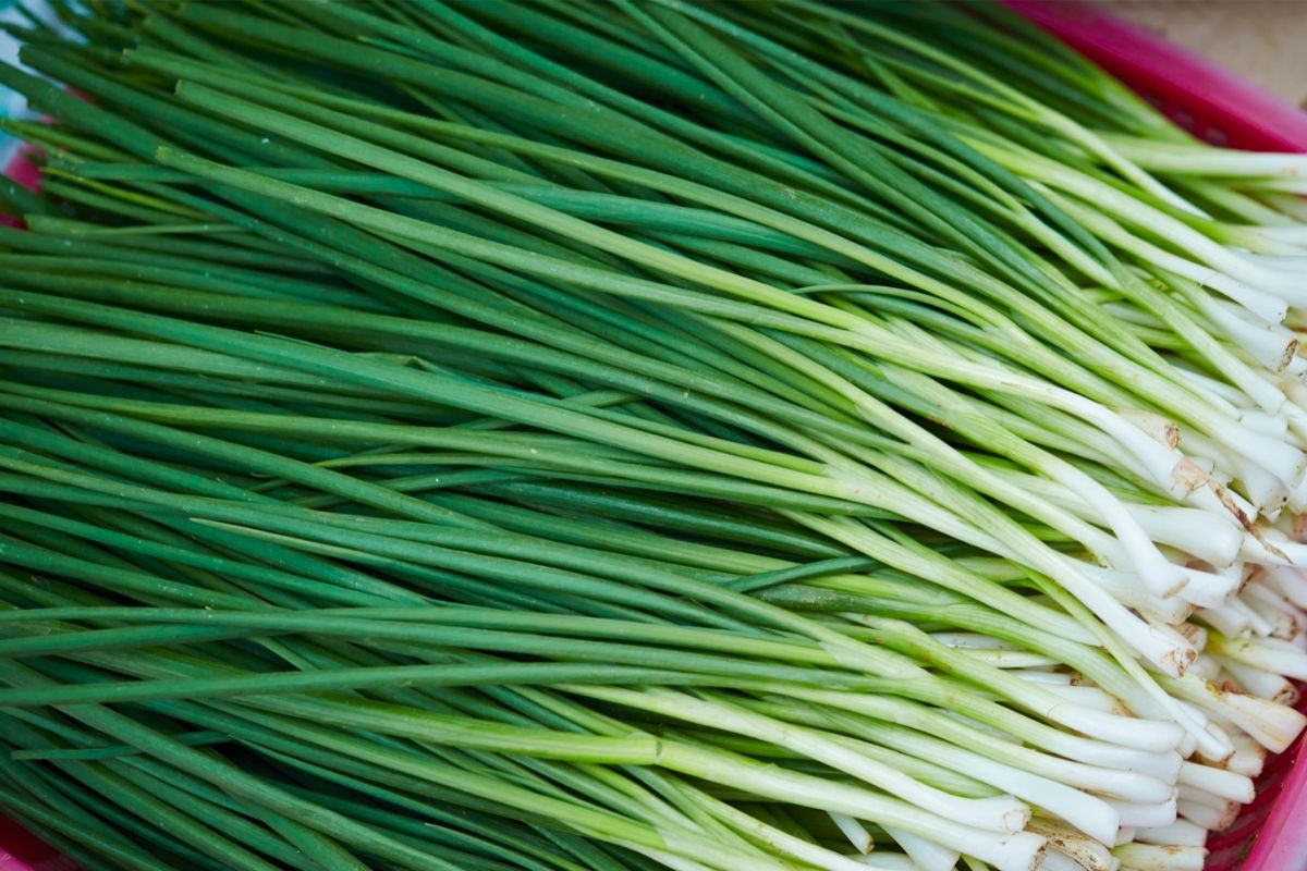G is for Garlic: Gorgeous Veggies That Start With 'G'