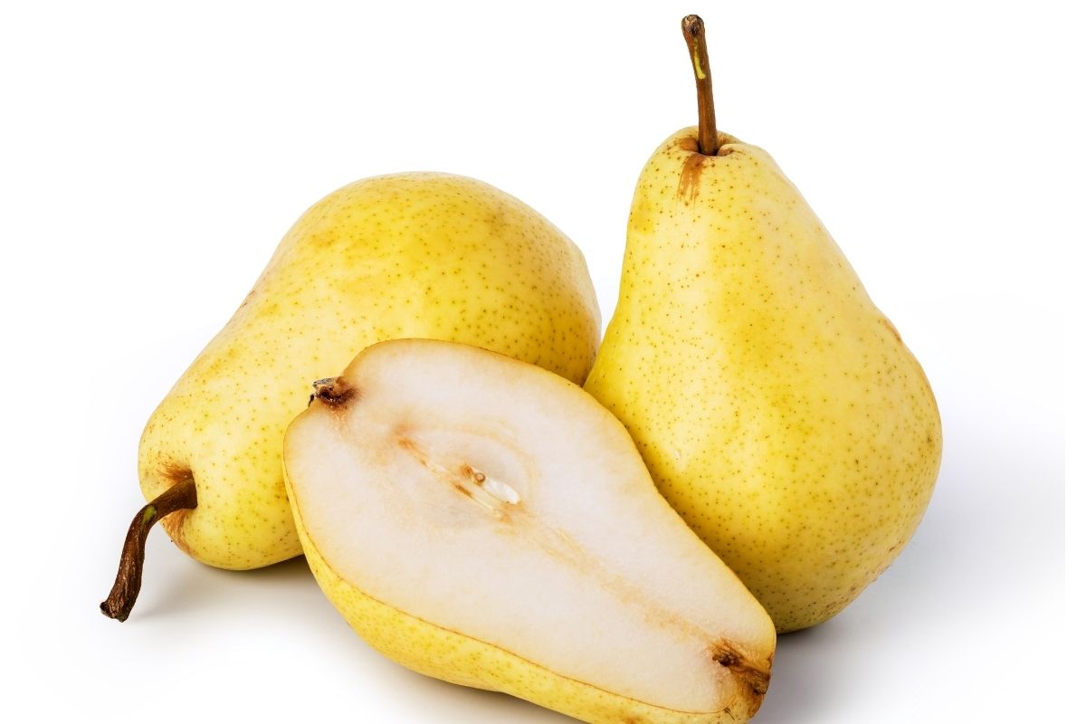 Gorham Pear Fruits That Start with G