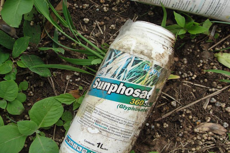 Herbicides To Kill Grass