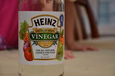 Kill Grass With Vinegar & Salt