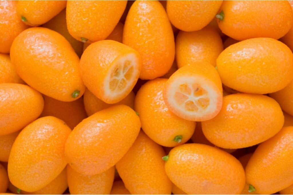 Kumquat fruits that start with K