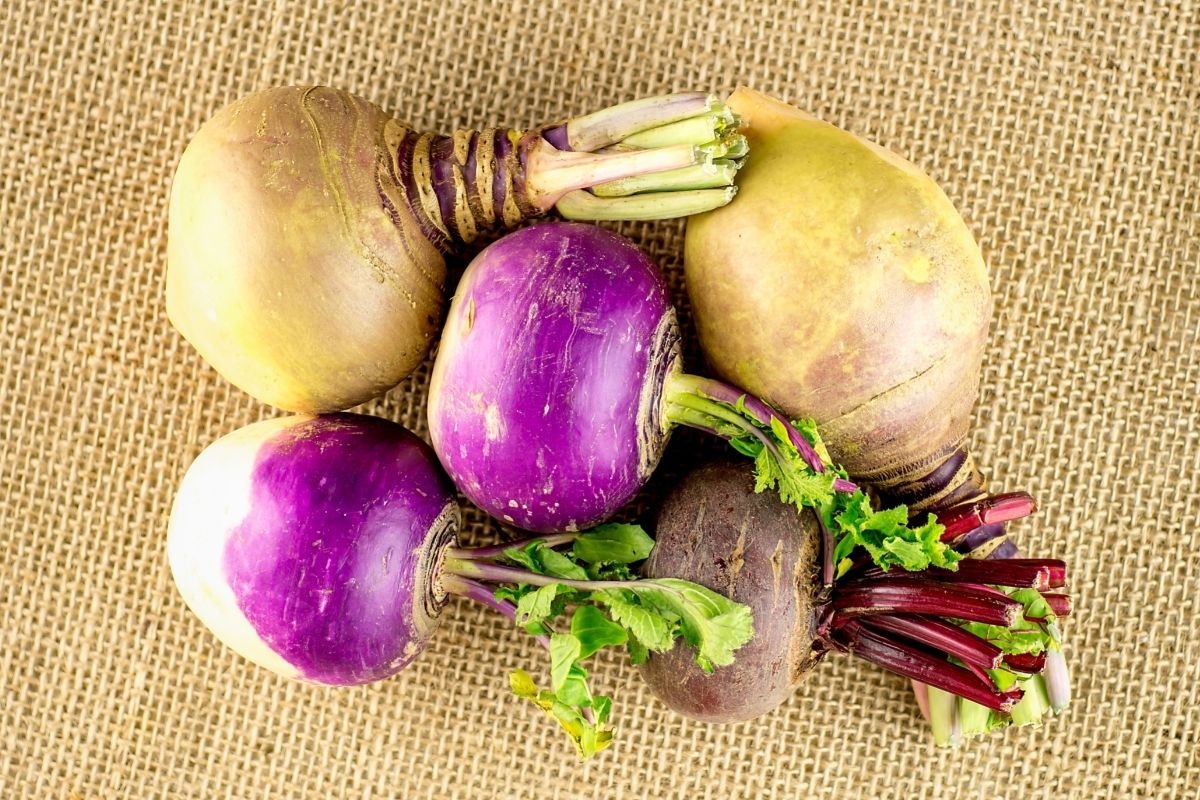 N is for Neeps: Notable Veggies That Start With 'N'