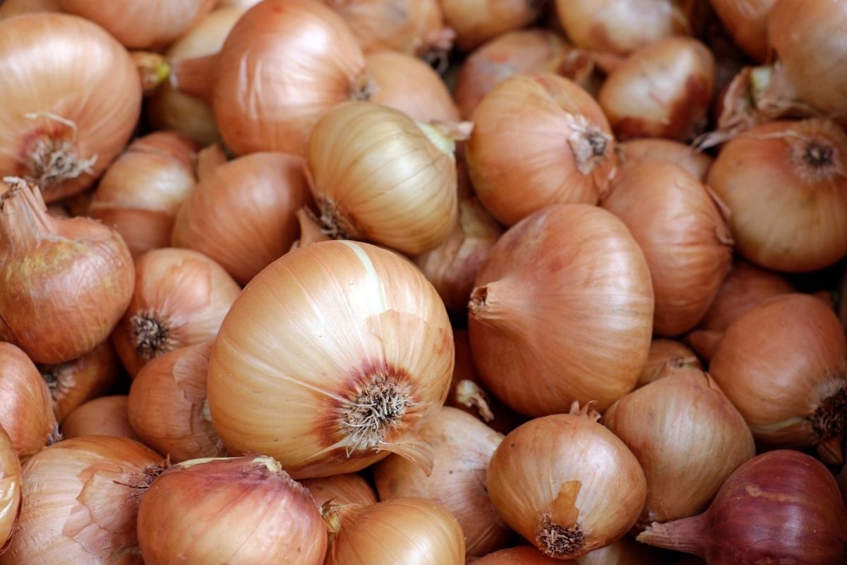 Onions Types Of Moroccan Veggies