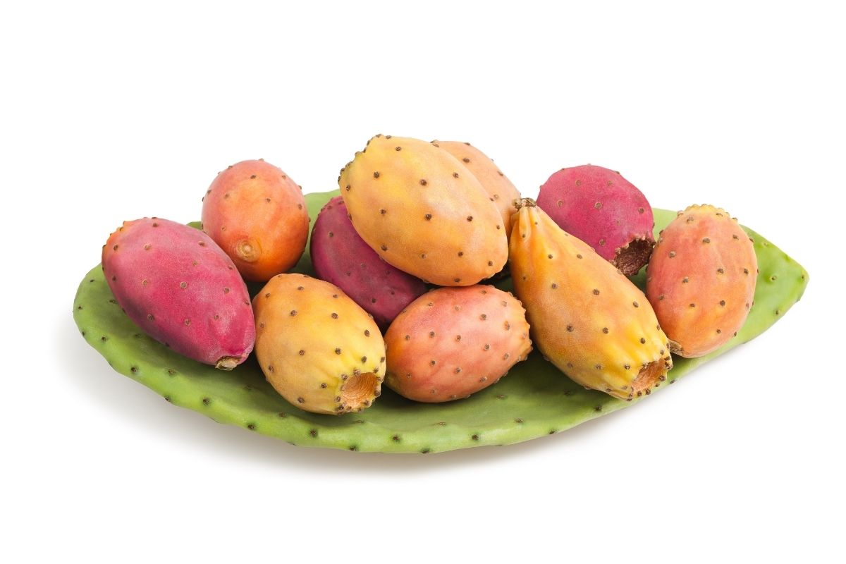 Fruits With High Water Content