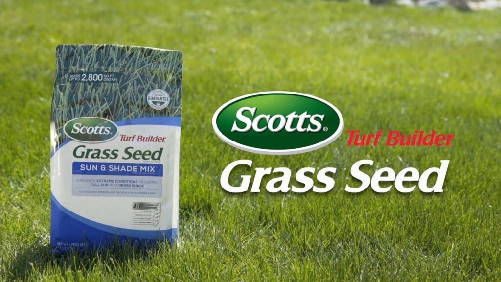 Scotts Turf Builder Grass Seed Sun & Shade Mix | Best Overall