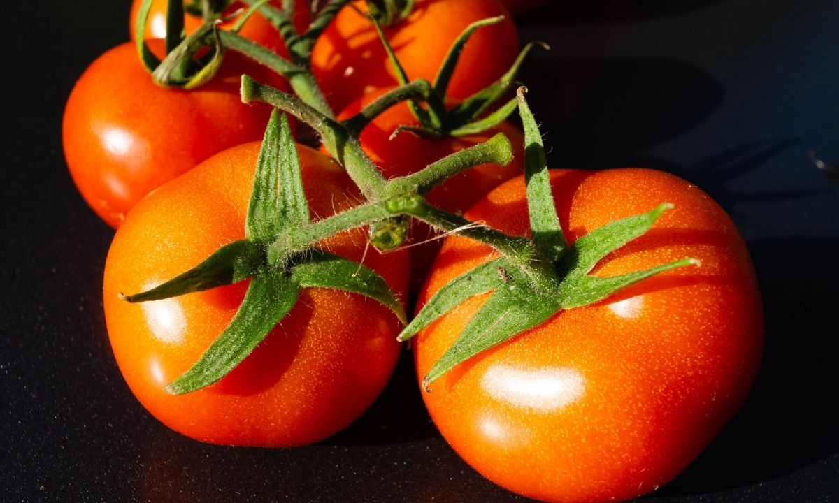 Solanum Lycopersicum ‘Caro Rich’