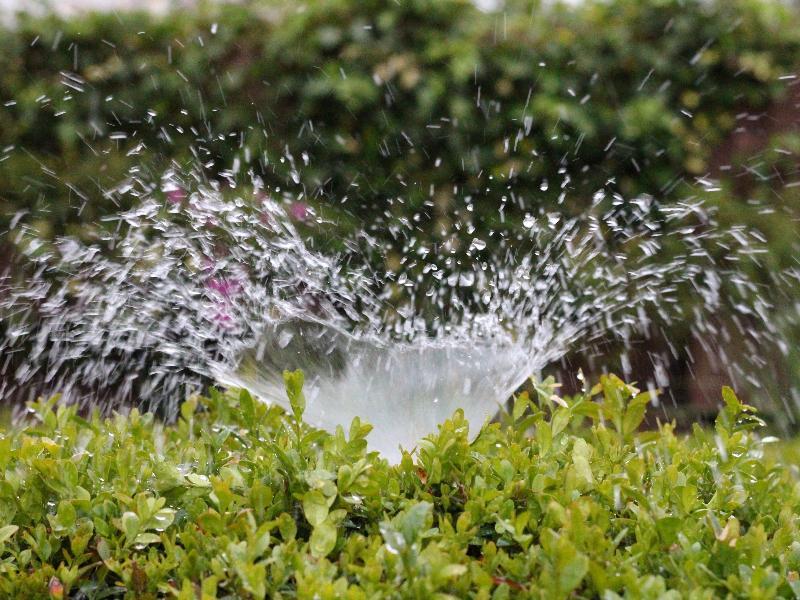 Some Tips For Using Oscillating Sprinklers
