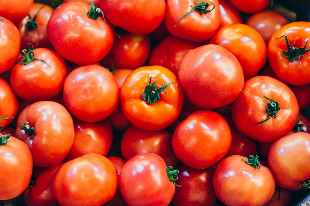 Tomatoes- types of Italian veggies