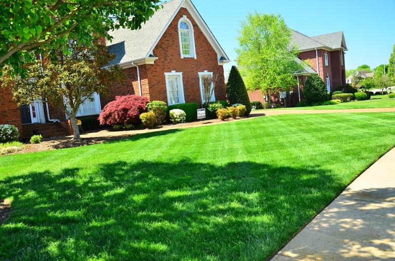 Can You Put Too Much Lime On Your Lawn?
