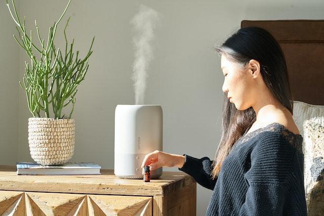 Type Of The Humidifier