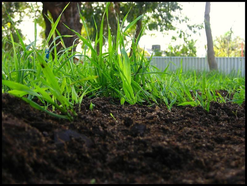 Use Your Grass Clippings To Make Compost