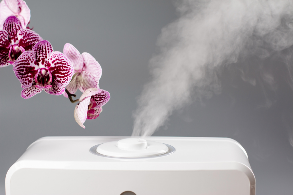 Warm Mist Humidifiers