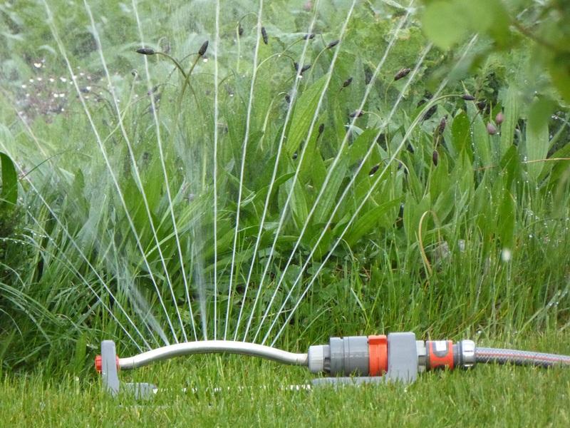 How Long to Water Lawn with Oscillating Sprinkler