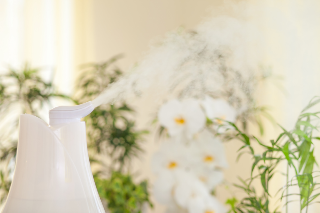 Humidifier for houseplants
