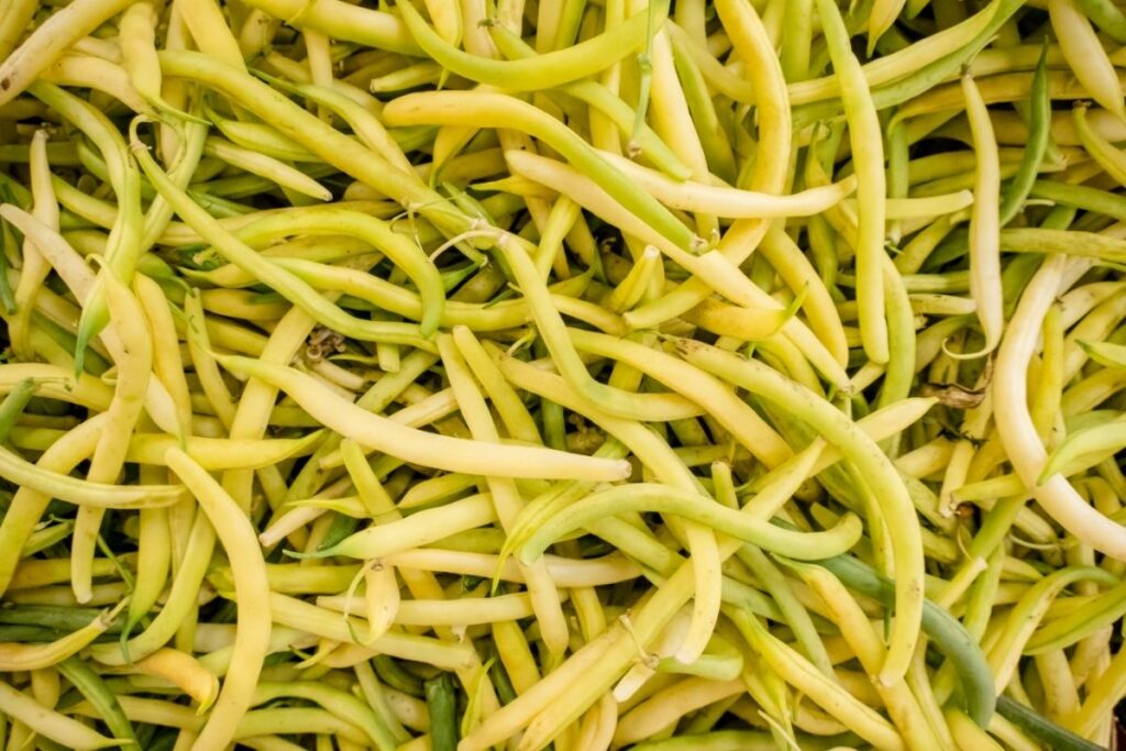 Yellow Beans