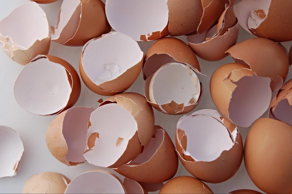 eggshells as organic pest control