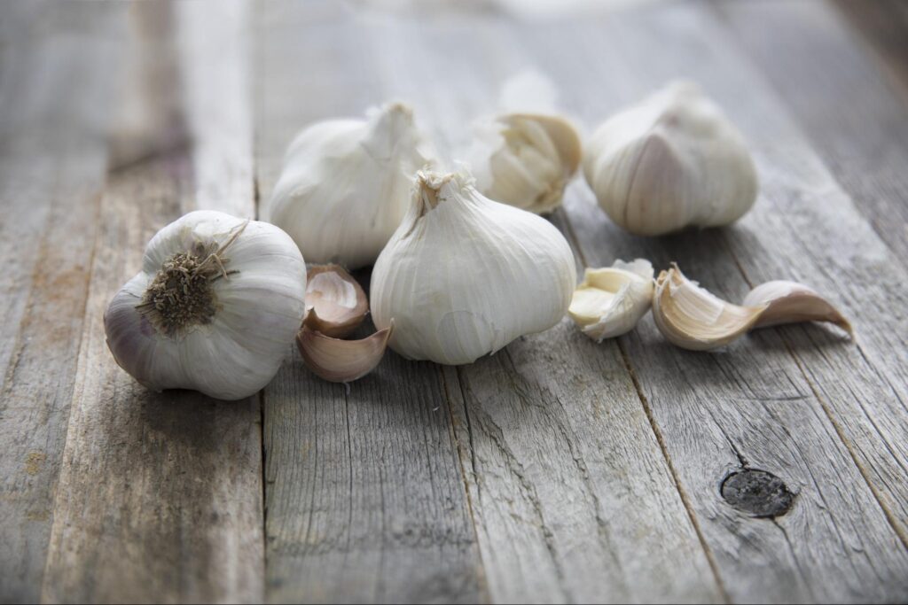 Garlic spray - natural pest control remedies for garden
