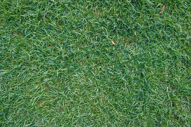 Grading your lawn