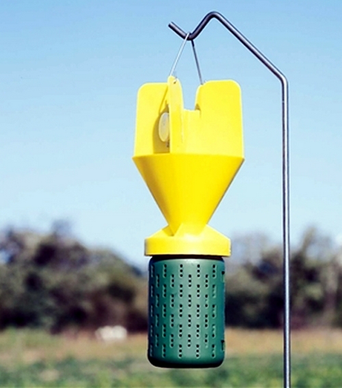 Hanging Japanese beetle trap