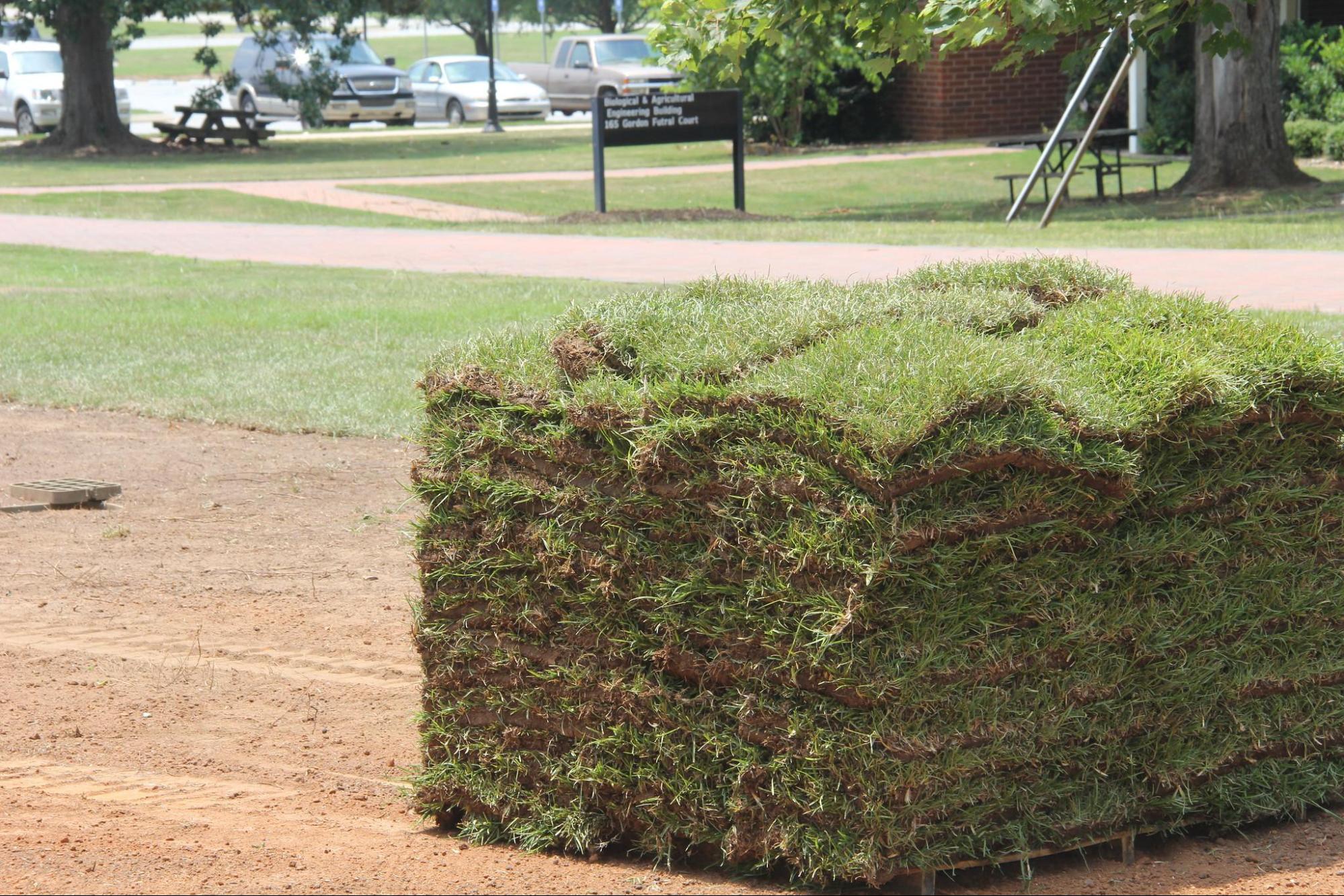 How Many Square Feet in a Pallet of Sod? Learn More
