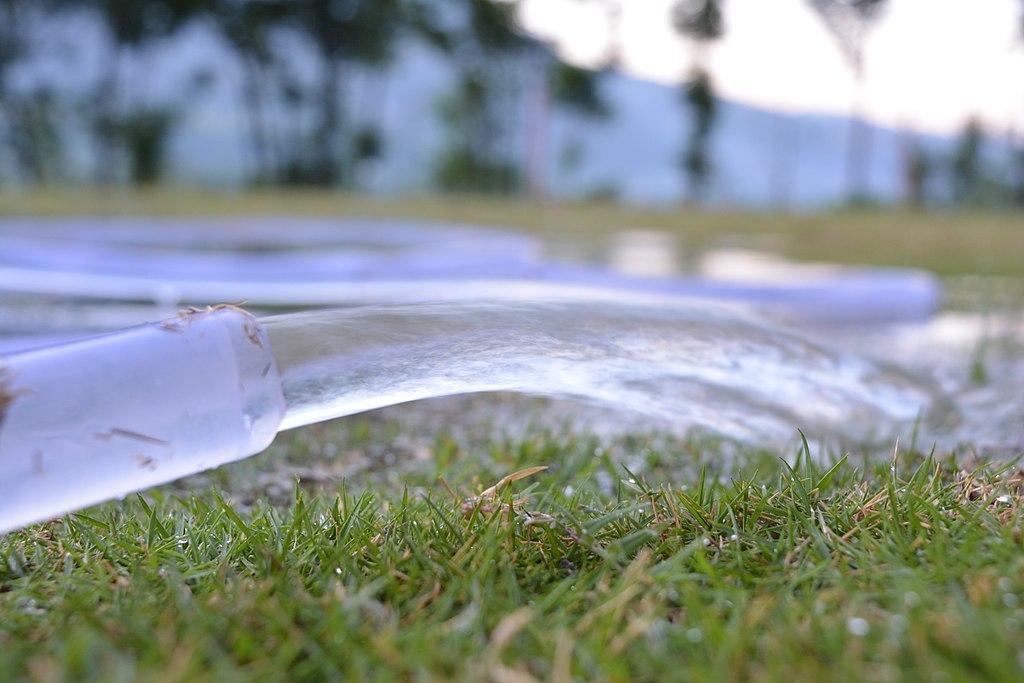 How often should you water your lawn