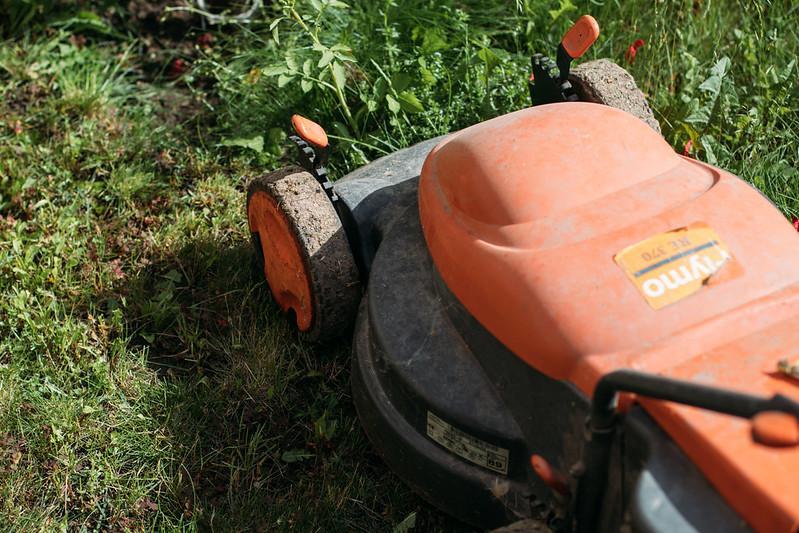 how often to mow lawn