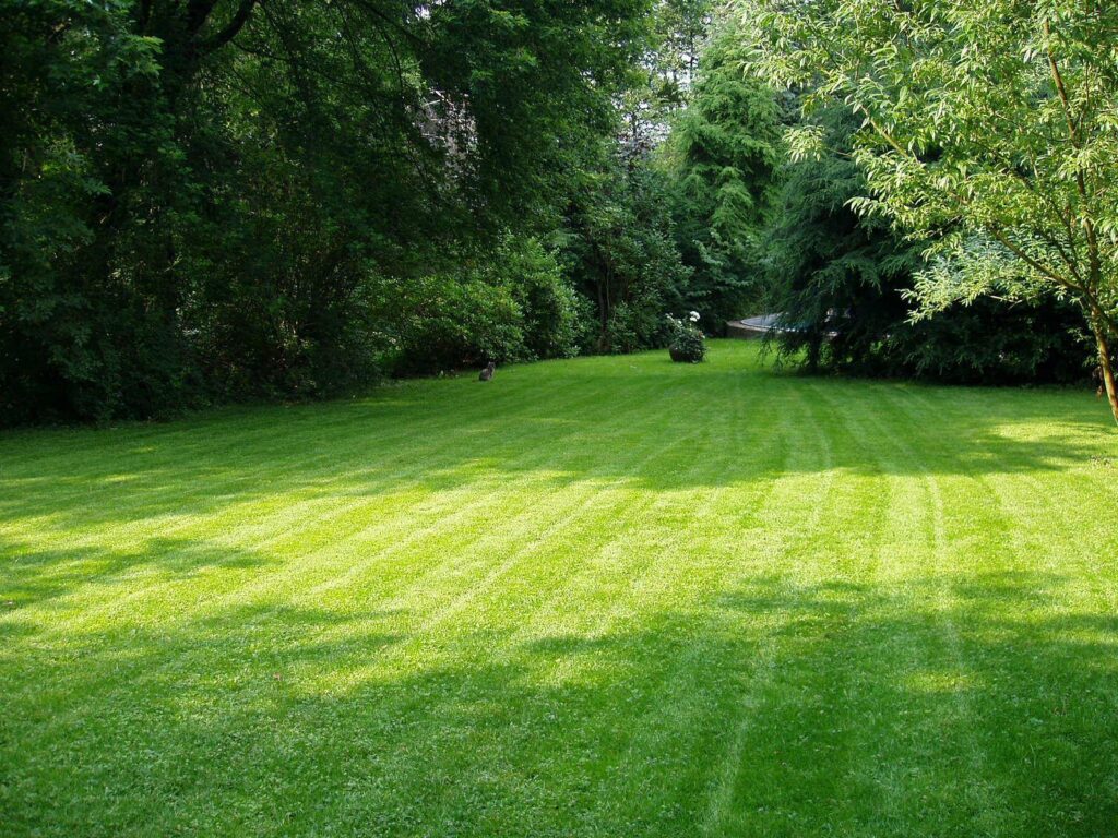 How to level a large yard