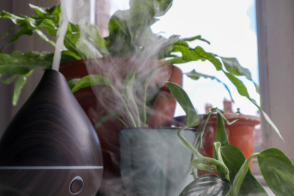 humidifier for houseplants