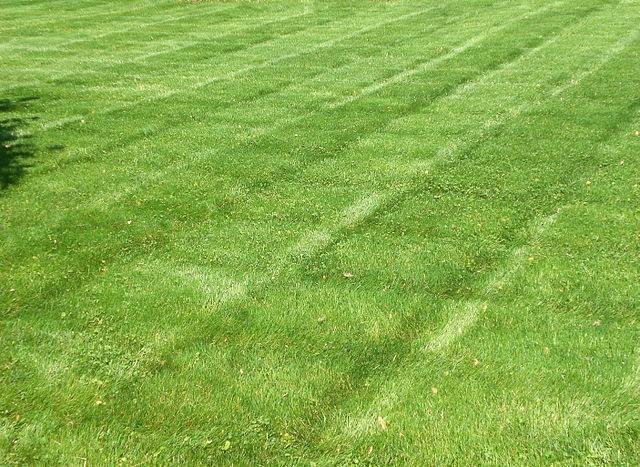 Striping Kit for Lawn Mower