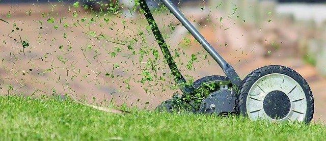 Mowing Bermuda grass