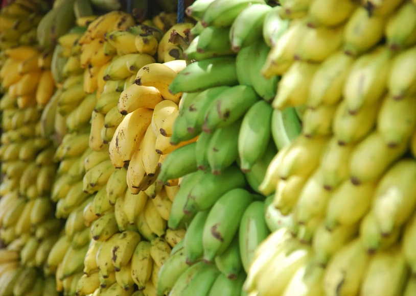 Banana produce seeds